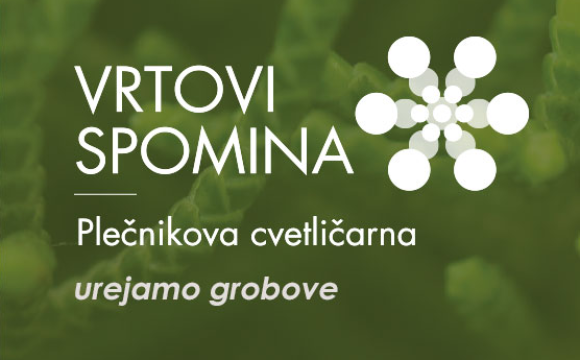 Posnetek zaslona 2026 01 19 104312 v2