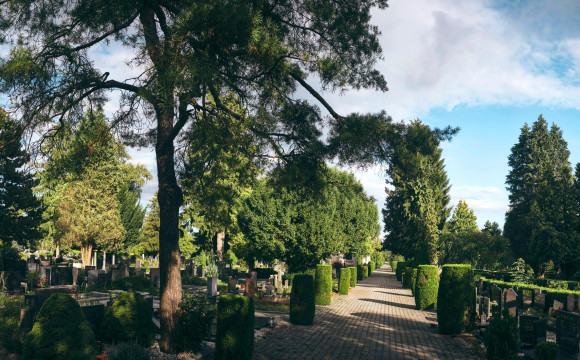 Rastline in grobovi na pokopališču Žale.