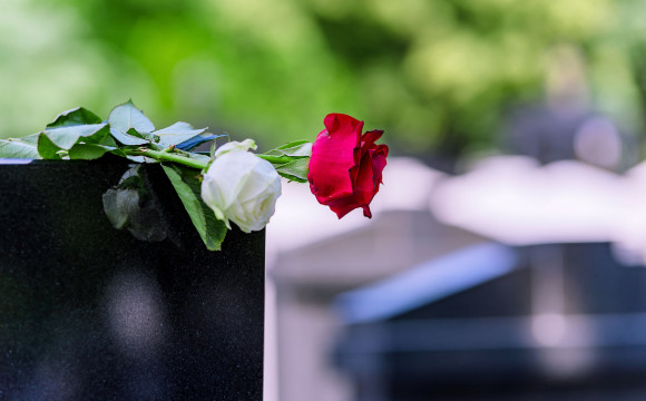 Rdeča in bela vrtnica na nagrobniku.