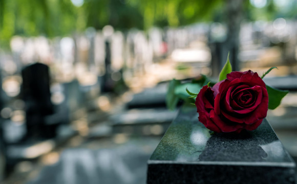 Rdeča vrtnica na črnem nagrobniku.