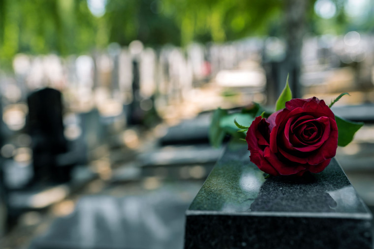 Rdeča vrtnica na črnem nagrobniku.