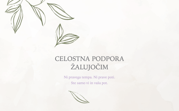 Posnetek zaslona 2026 03 19 103418