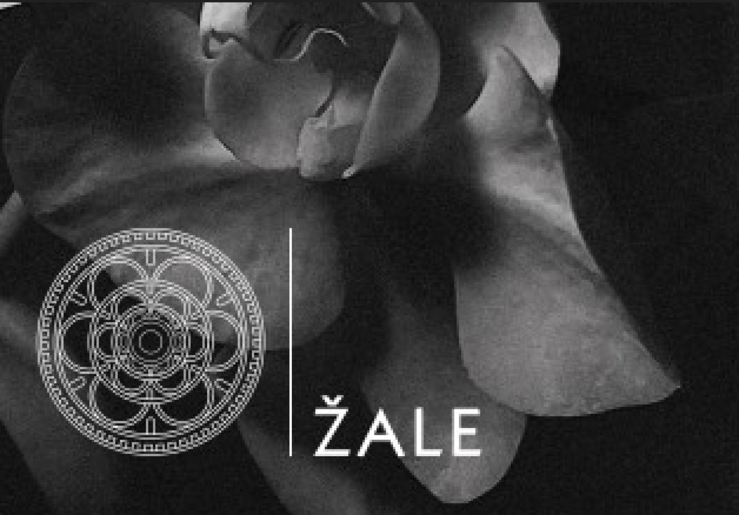 vrednostna sožalna kartica 4