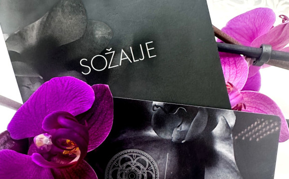 slika novica brez obreza 1600w